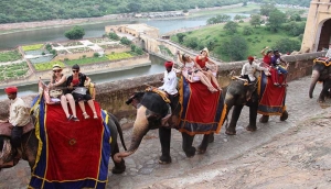 Discover the Beauty of Rajasthan with Your Family